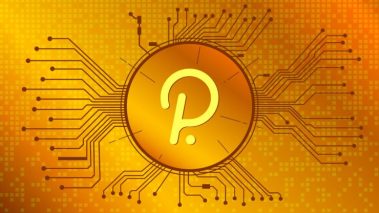 polkadot coin 740x416 1 Polkadot’s Parallel Finance valued at $500M