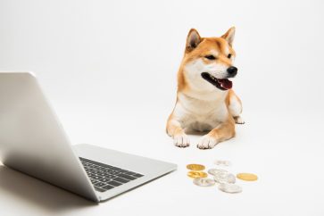 181180987 m Why DOGE and SHIB are worth getting on May 5