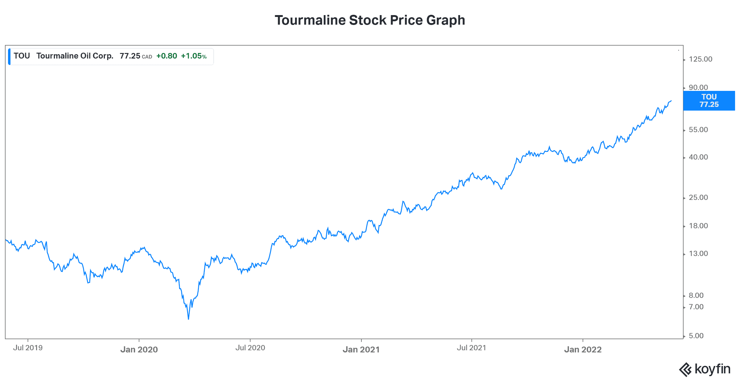 Energy sector Tourmaline