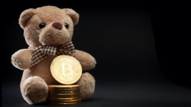 kkkiiiillop78 Recent Bitcoin Bull Run and Prior Run-up Data Suggests a Softer Bear Market Is in the Cards