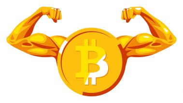 shutterstock 1889108518 After the Terra LUNA Fallout, Bitcoin Dominance Climbs Higher While Ethereum’s Valuation Shrinks