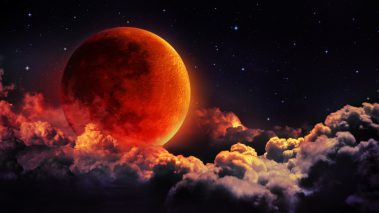 shutterstock 311299340 Luna Foundation Guard Discloses Usage of Bitcoin Reserves