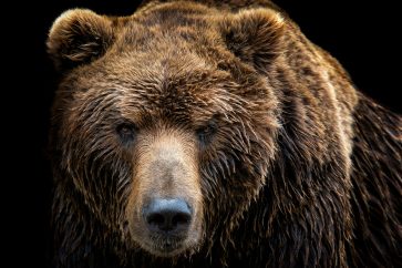 104419808 m Stocks: S&P 500 sinks into bear market