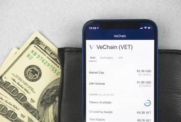 169473607 m Big UFC news: UFC partners with VeChain, can VET grow in value?