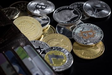 183618434 m Billionaire Mark Cuban: Projects built on “cheap money” will not survive this ‘crypto winter’