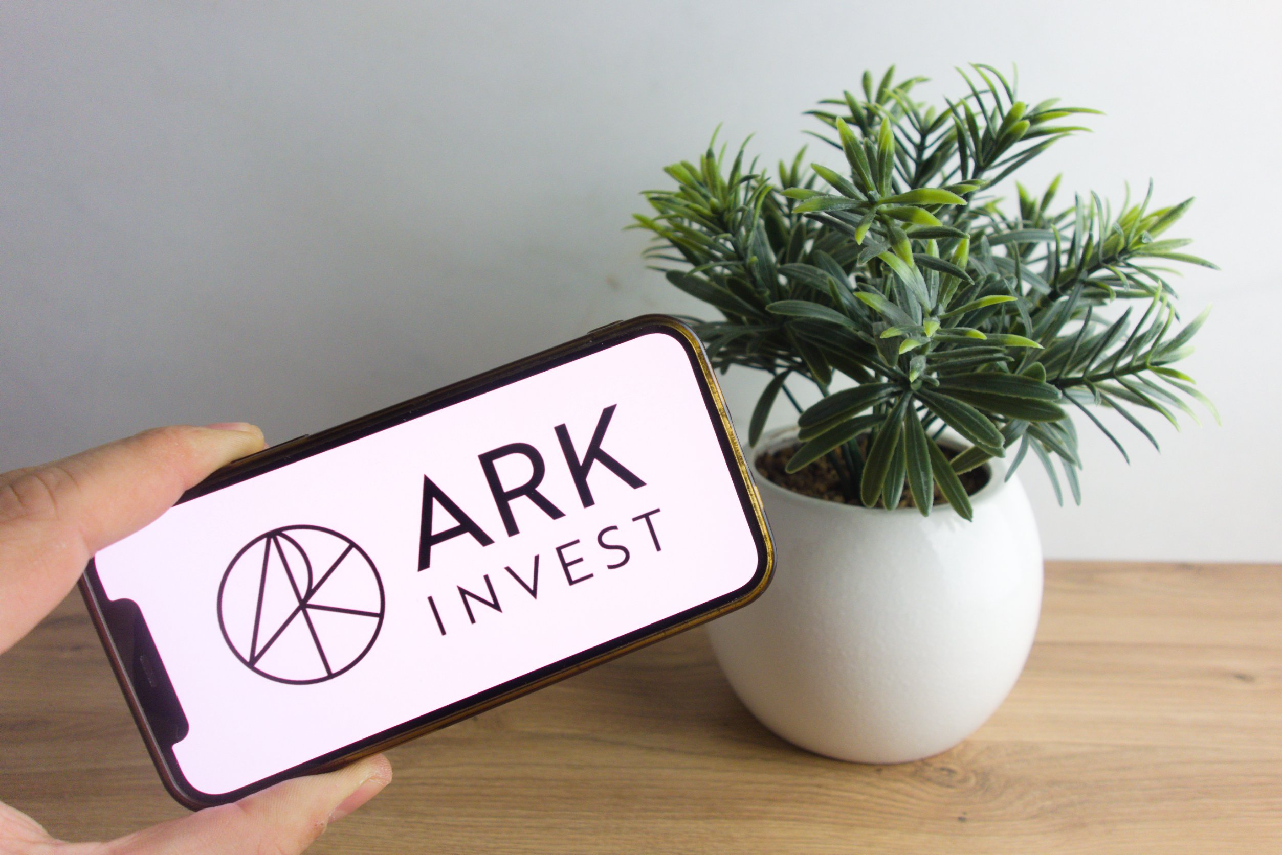 183953128 m 1 Pro: ‘Cathie Wood’s ARKK will continue to go down in the long term’
