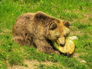 186710665 m Bitcoin not out of woods yet despite bounce above $20k- crypto analysts