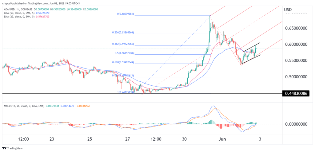 cardano price