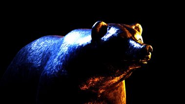 defibears Value Locked in Defi Slips to $74 Billion, Top Smart Contract Tokens Down Over 70% This Year